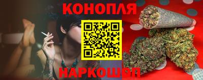 стафф Аргун