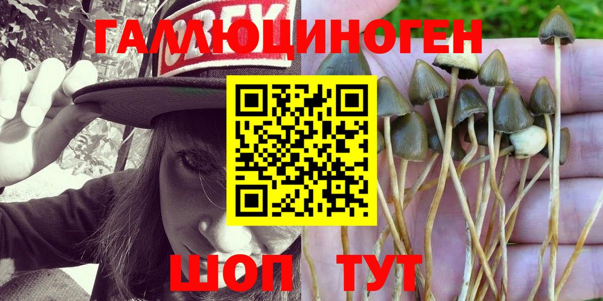 Псилоцибиновые грибы ЛСД Петровск