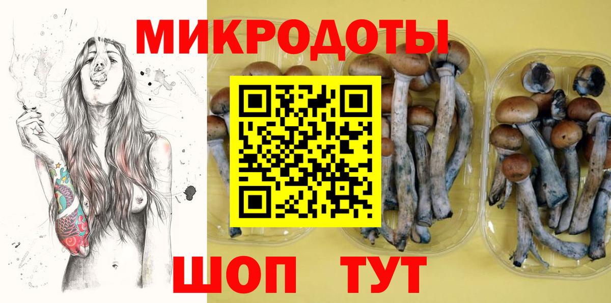 Галлюциногенные грибы прущие грибы  Вход с VPN  Петровск 