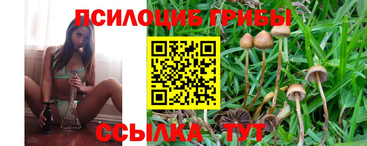 Галлюциногенные грибы MAGIC MUSHROOMS Петровск