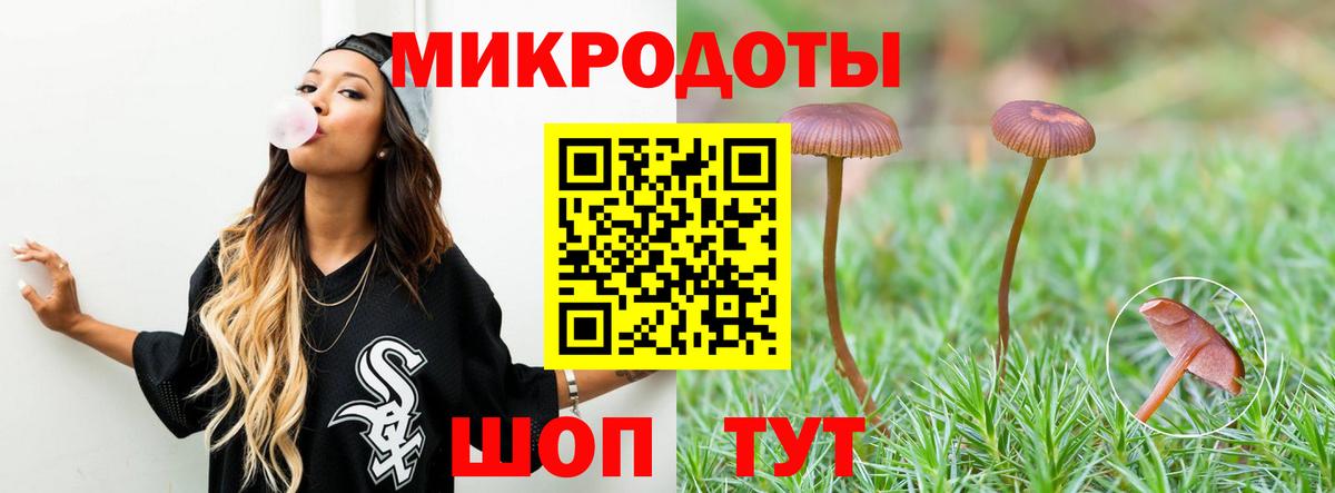 Псилоцибиновые грибы мицелий  Петровск  Псилоцибиновые грибы MAGIC MUSHROOMS 